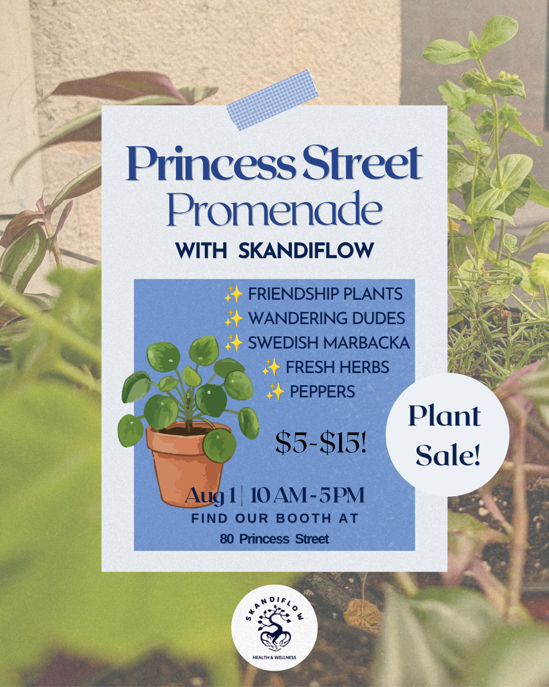 Princess Street Promenade at Skandiflow 5